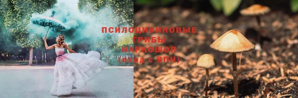 прущие грибы Аркадак