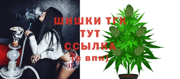прущие грибы Аркадак