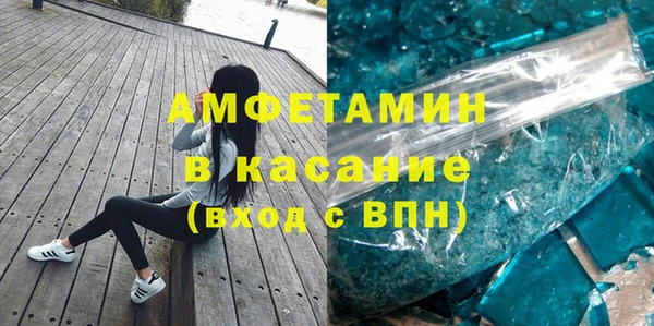 прущие грибы Аркадак