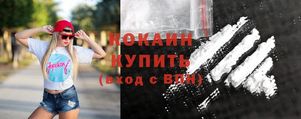 прущие грибы Аркадак