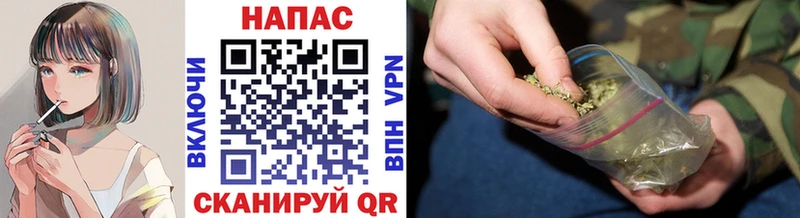 где можно купить наркотик  Мурино  OMG ONION  Канабис семена 